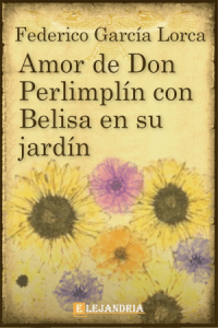 No hay una imagen disponible
